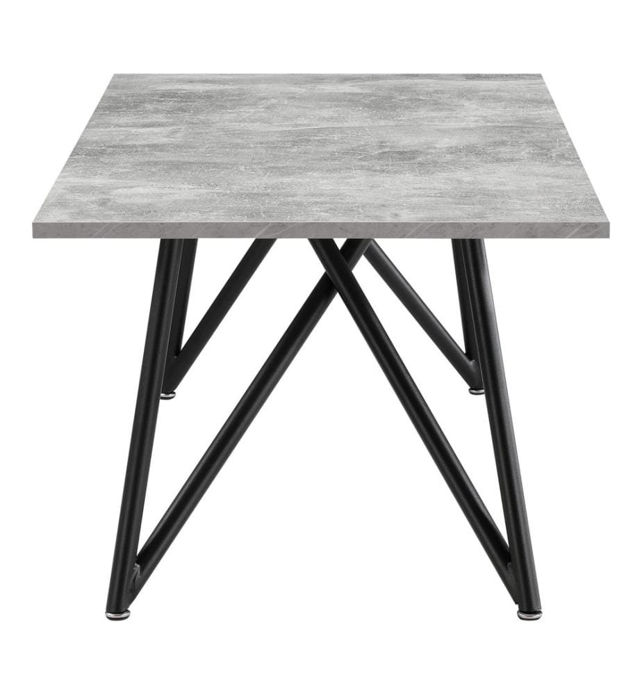 Couchtisch Säter 120 x 60 x 45 cm Betonoptik
