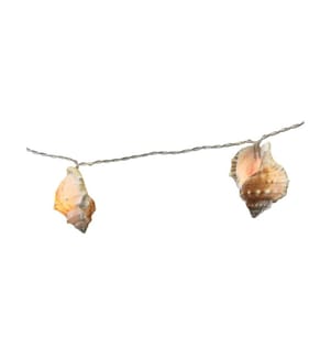 DAMECO - Guirlande lumineuse Coquillage Maritim