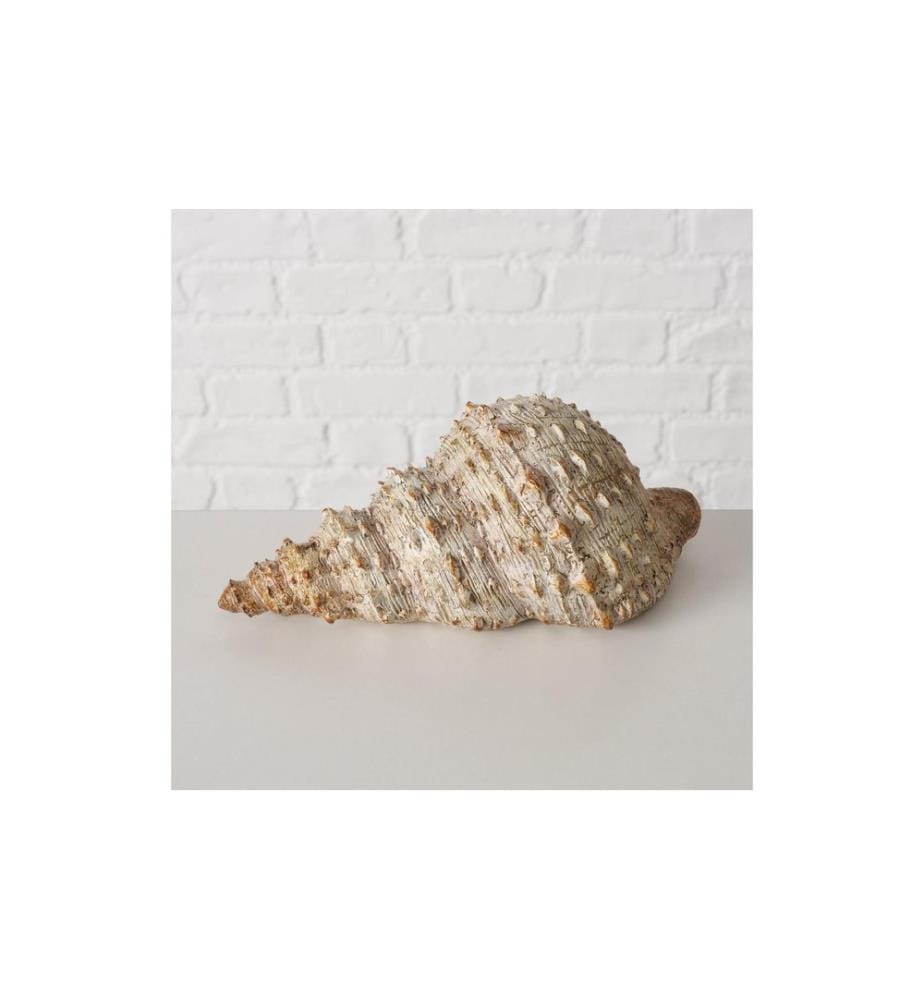 BOLTZE - Objet à exposer Coquille Bigo Beige