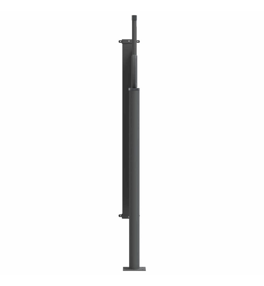 vidaXL Store latéral rétractable 300 x 100 cm Polyester Rectangulaire