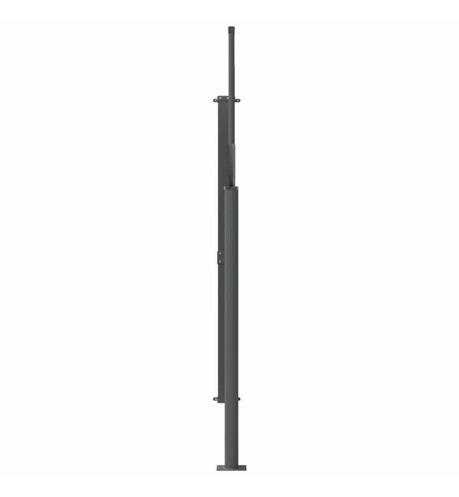 vidaXL Store latéral rétractable 100% polyester fer acier