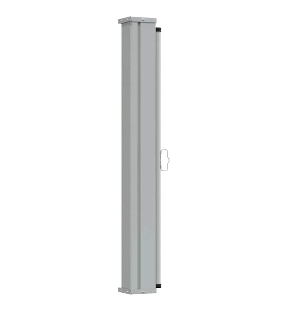 vidaXL Ausziehbare Seitenmarkise 120x300 cm Grau