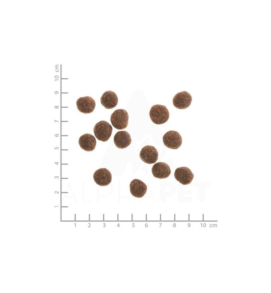 WILDES LAND - Trockenfutter Ente mit Kartoffeln & Wildkräutern, 1 kg