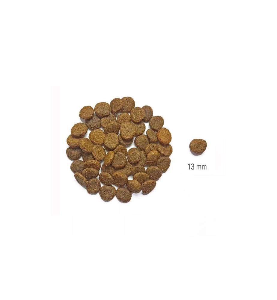 DOG'S LOVE - Trockenfutter Adult, Lachs und Forelle, 12 kg