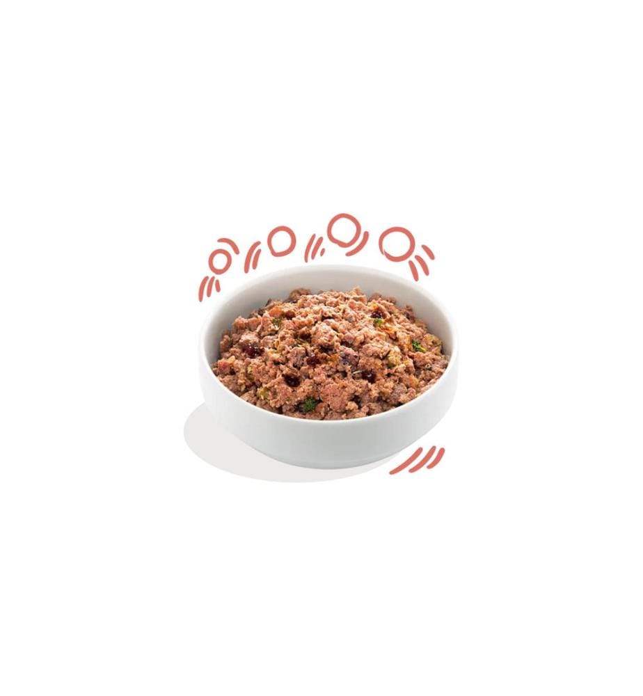 Edgard & Cooper - Nassfutter Senior Huhn + Lachs, 6 x 400 g
