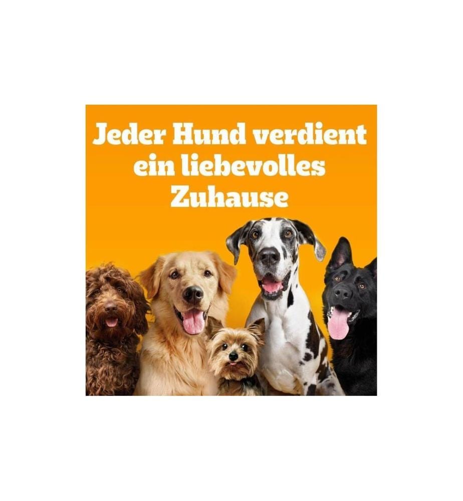 PEDIGREE - Jumbone Large au boeuf 180 g