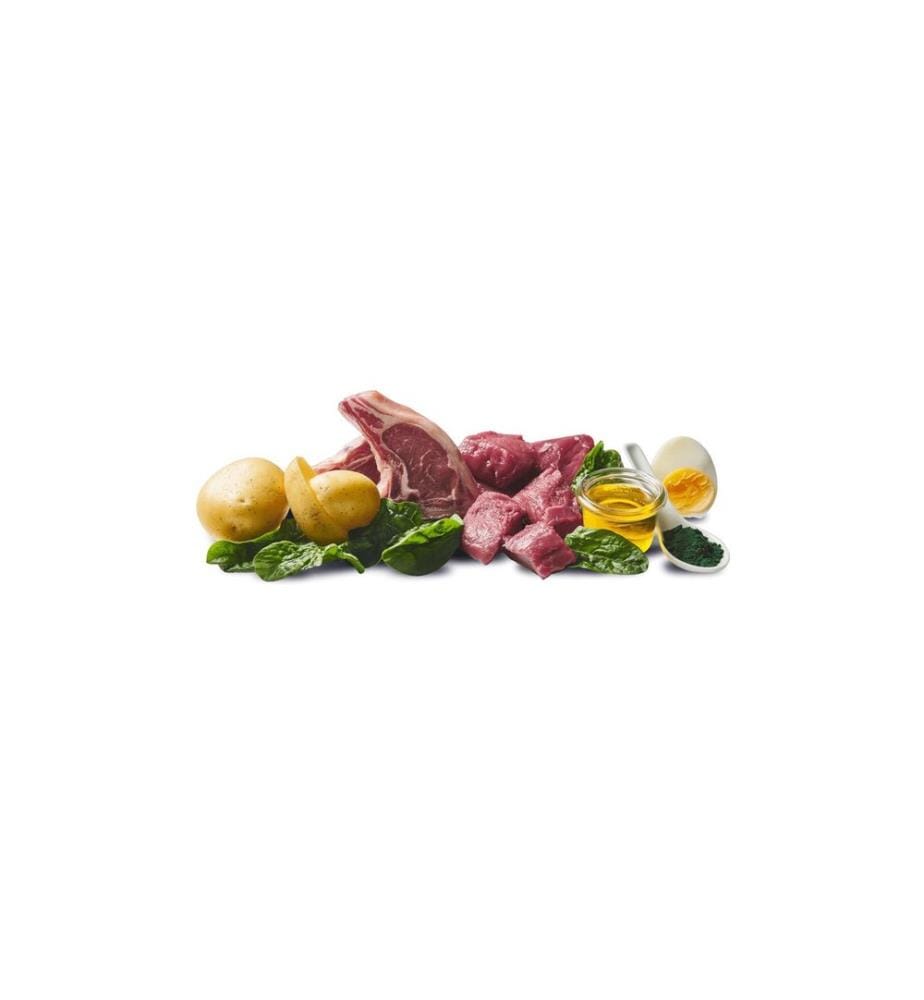 DOGGY Dog - Nassfutter DoggyDog Dose Wild, Lamm Adult 200 g