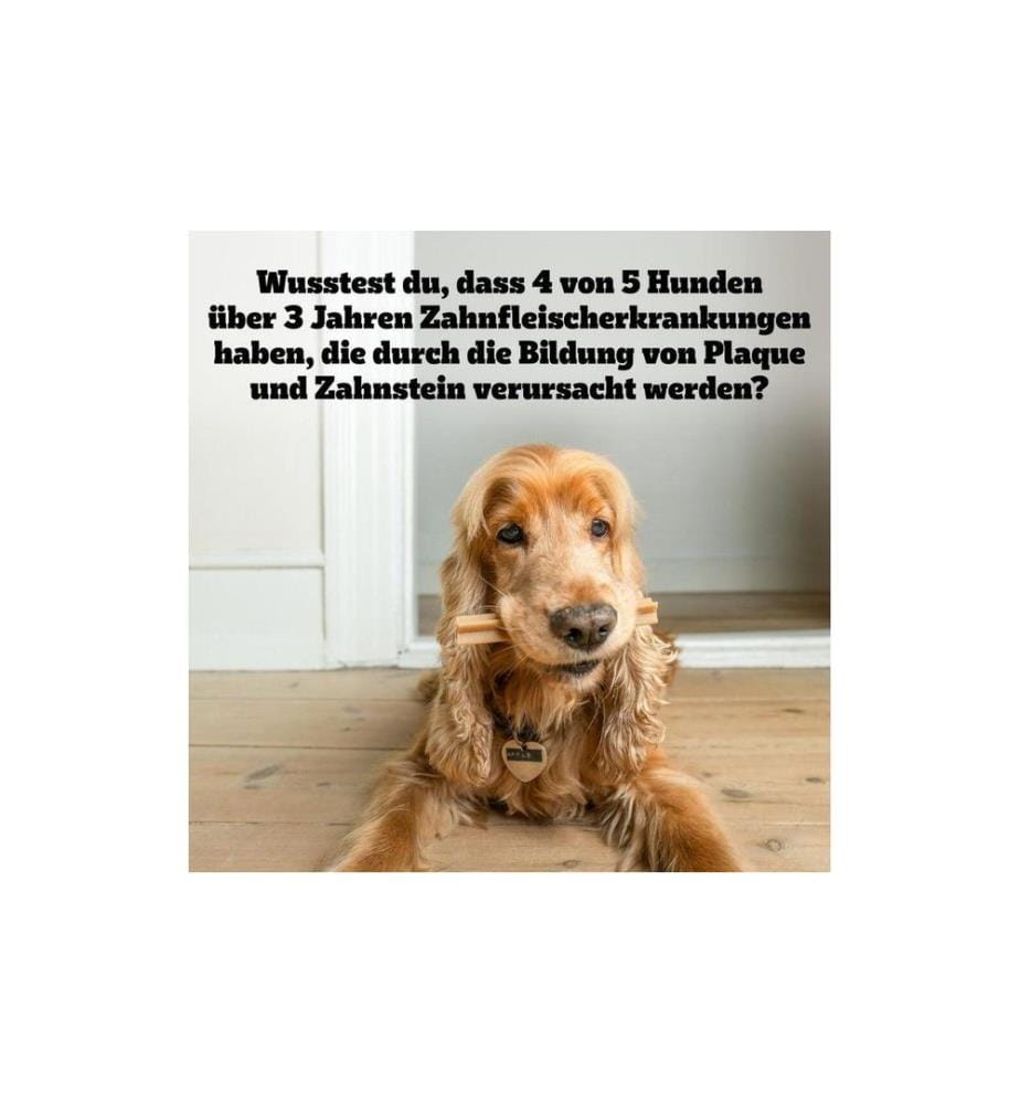 PEDIGREE - Bâtonnet à mâcher Dentastix Daily Oral Care 7 pièces