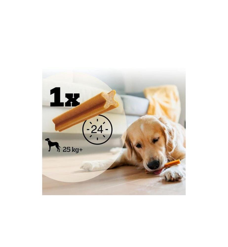 PEDIGREE - Kaustange Dentastix Daily Oral Care grosse Hunde, 7 Stück