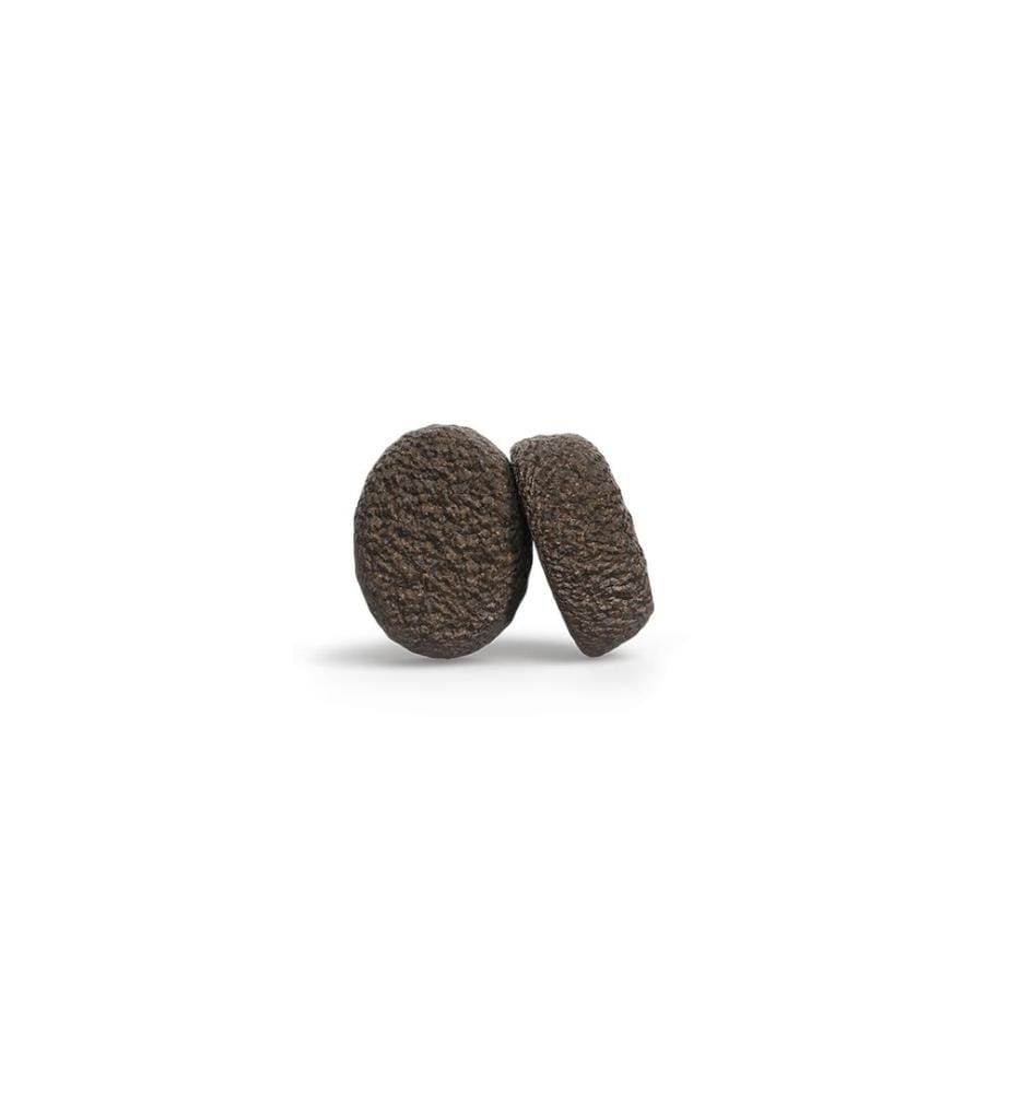 Croquettes pour chien Josera Adult Medi/Maxi Canard et Patate douce 12.5 kg