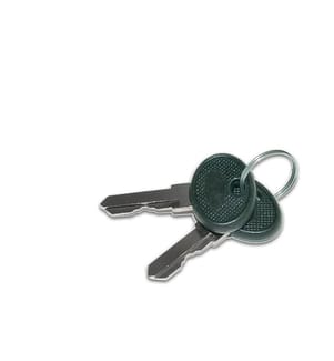 WIREWIN - Rack Zubehör 2 x Cab Key Serverschrankschlüssel