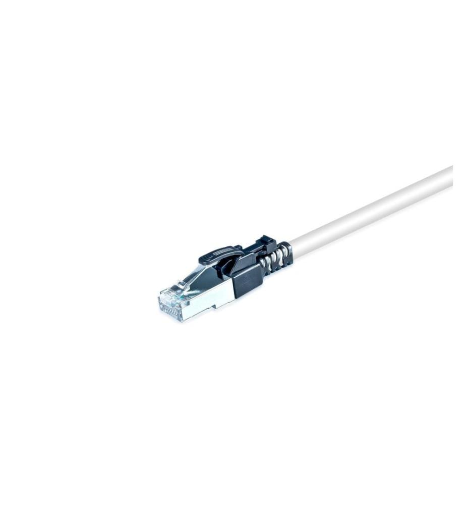 WIREWIN - Câble patch Securelock Cat 6A, S/FTP, 0.3 m, Gris