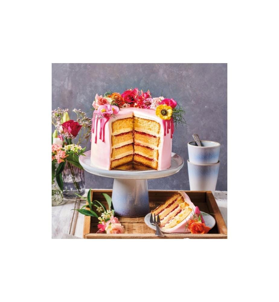 FUNCAKES - Backmischung für Biscuit 500g