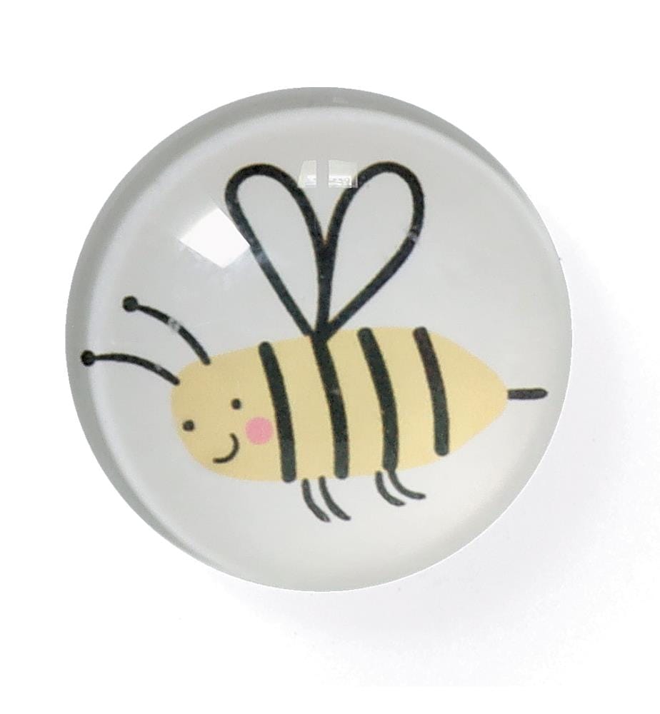 Set di magneti per insetti - 4 pezzi