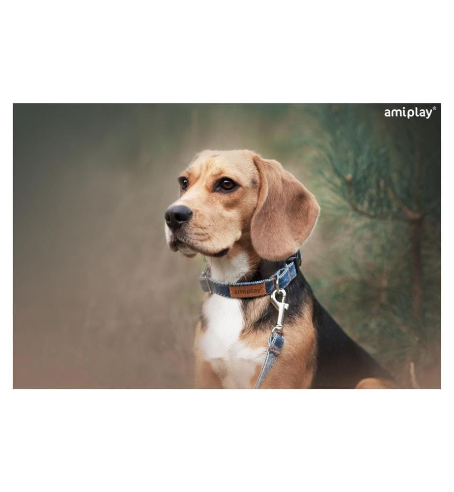 AMIPLAY - Collier Denim, Bleu clair