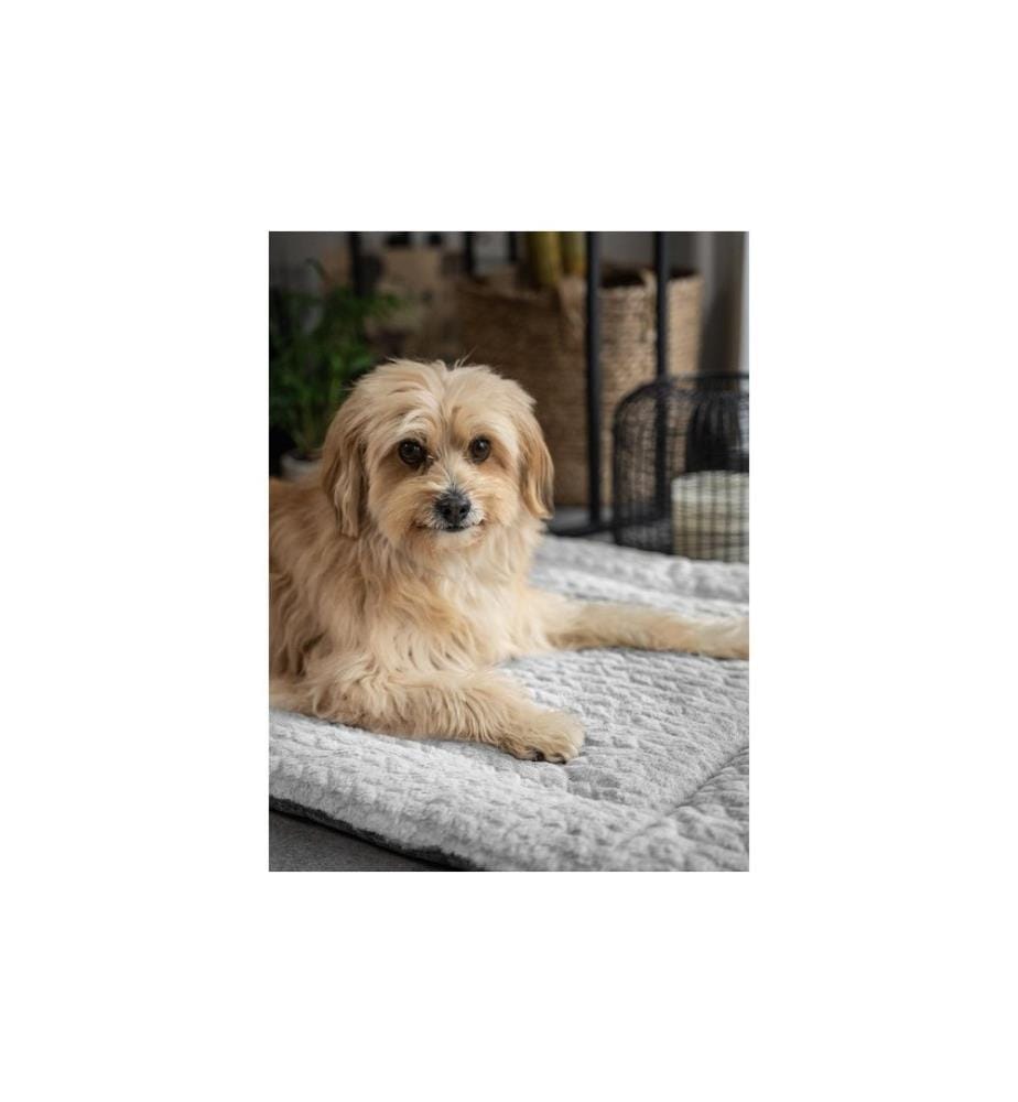 TRENDPET - Hunde-Decke Heaven, Grau, Gr.S