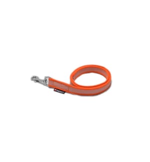 DOGSMART - Longe caoutchouté 6 m / 20 mm avec dragonne