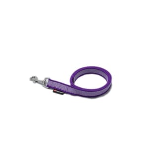 DOGSMART - Longe caoutchouté 6 m / 20 mm avec dragonne