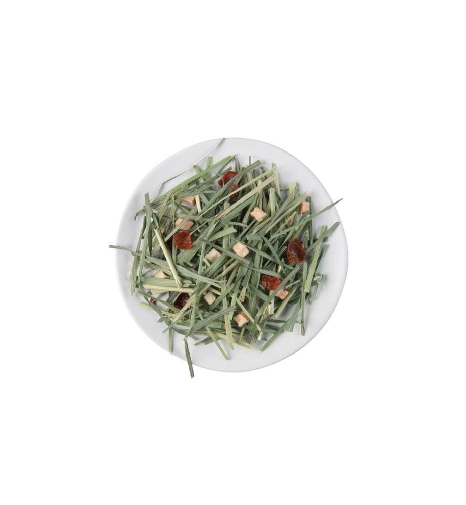 WITTE MOLEN - Obstgarten Heu mit Früchten, 500 g