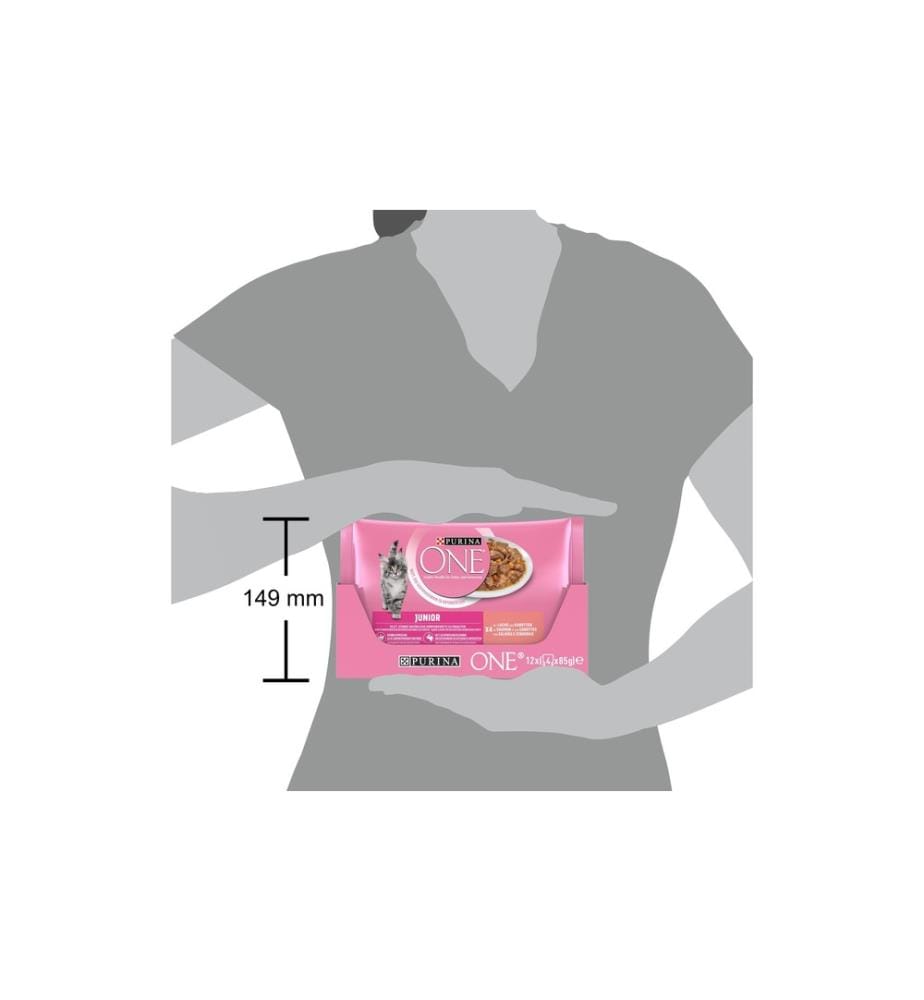 PURINA ONE - Nassfutter Junior Lachs, 4 x 85 g