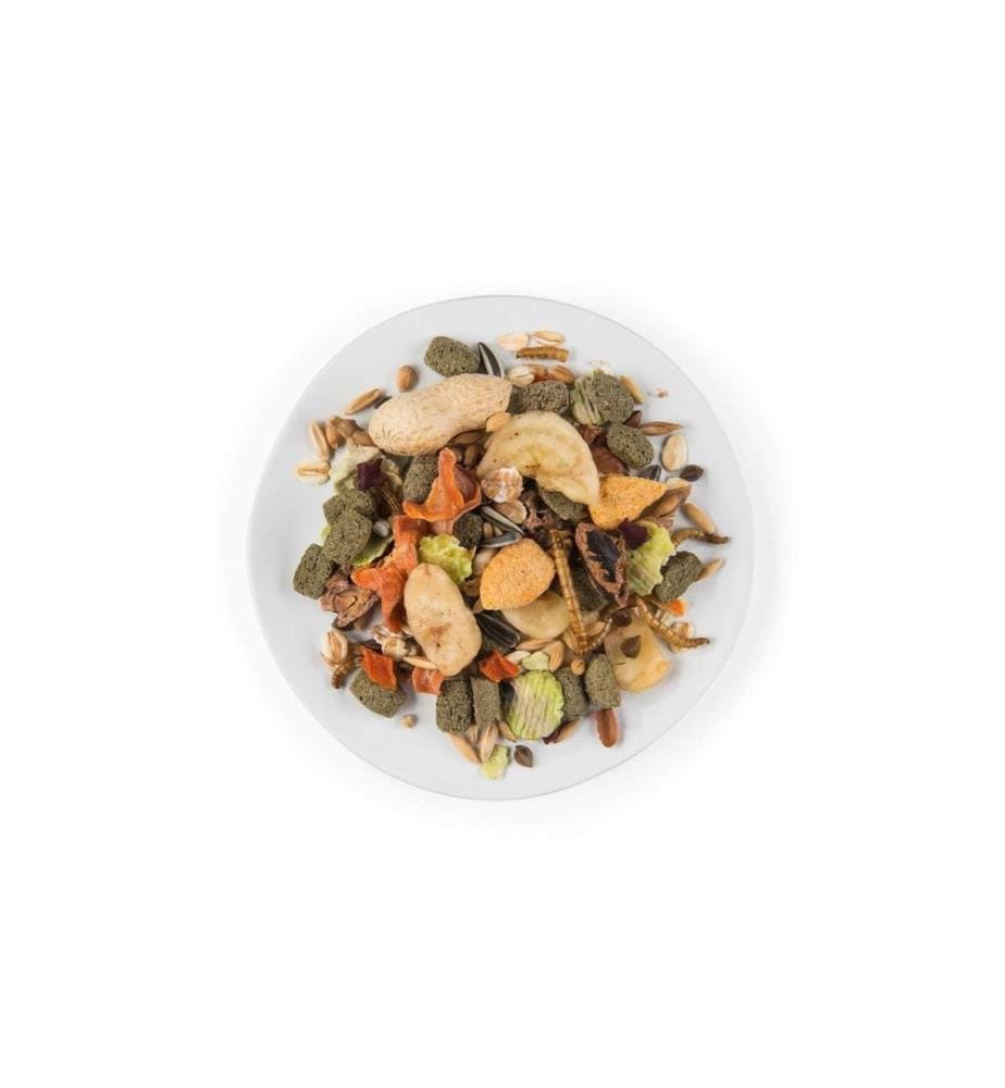 WITTE MOLEN - Hauptfutter Puur Gourmet-Müsli für Ratten, 800 g