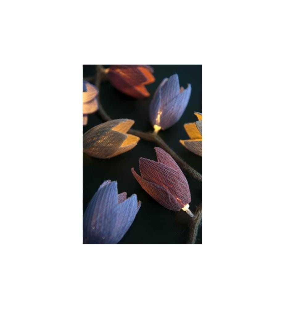 STT Lichterkette Tulip Mehrfarbig