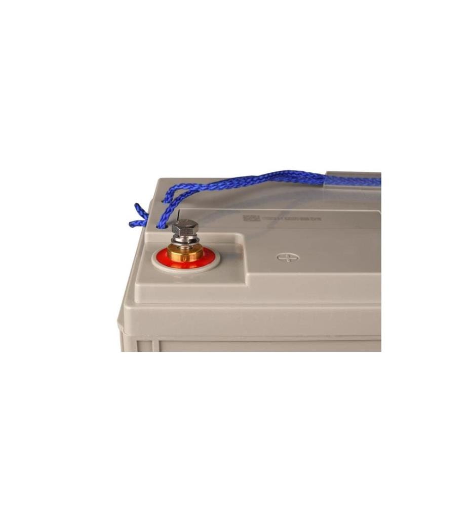 VICTRON - Batterie AGM Super Cycle 12 V / 38 Ah