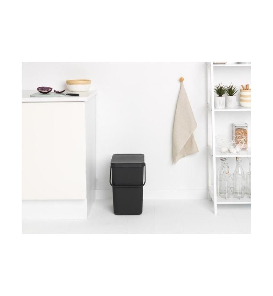 BRABANTIA - Recyclingbehälter Sort & Go 25 l, Grau