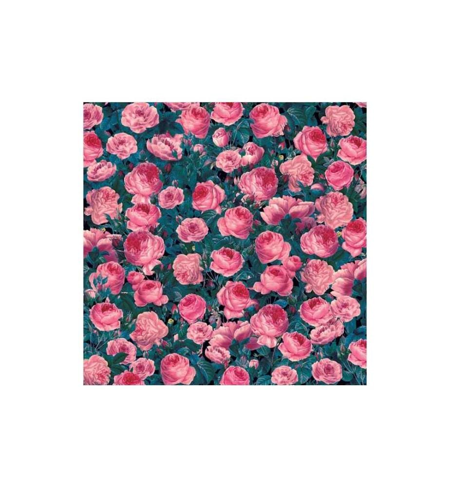 CRICUT - Aufbügelfolie Infusible Ink Cabbage Rose 2 Stück