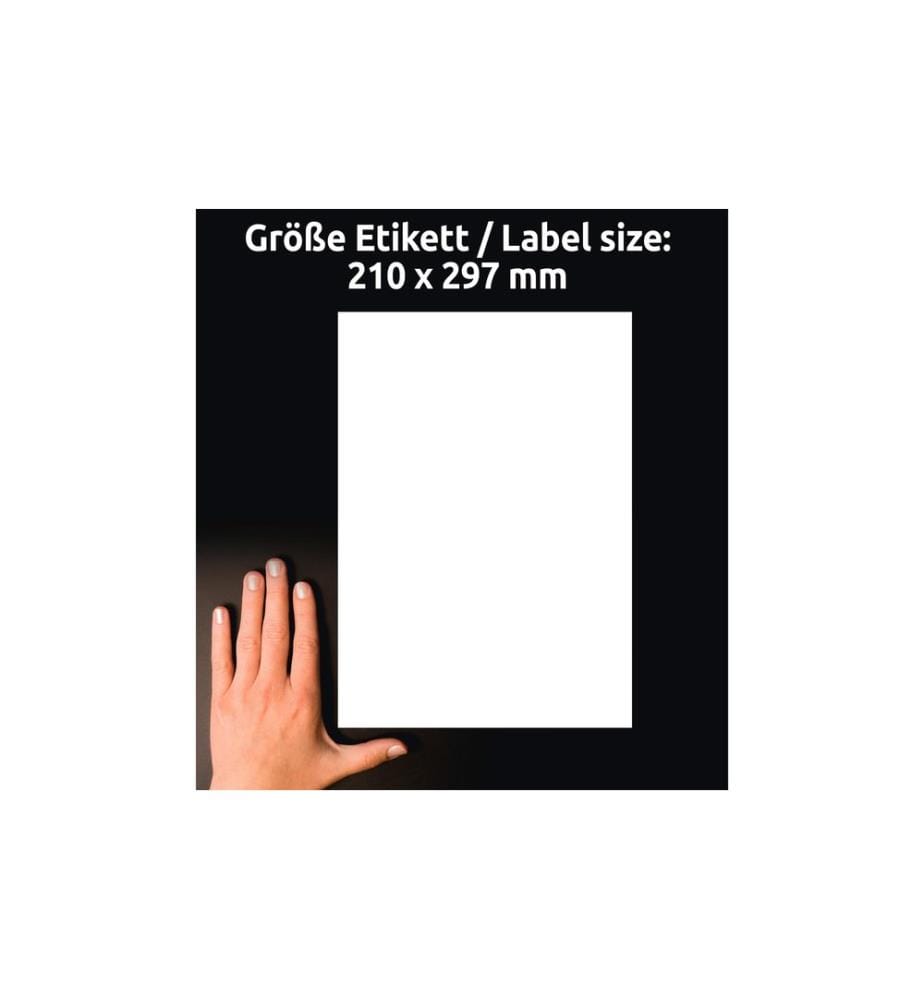 AVERY - Zweckform Aimant Signes 210 x 297 mm 5 feuilles