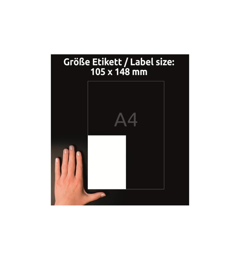 AVERY - Zweckform Étiquettes universelles LR3483 105 x 148 mm, 10 feuille