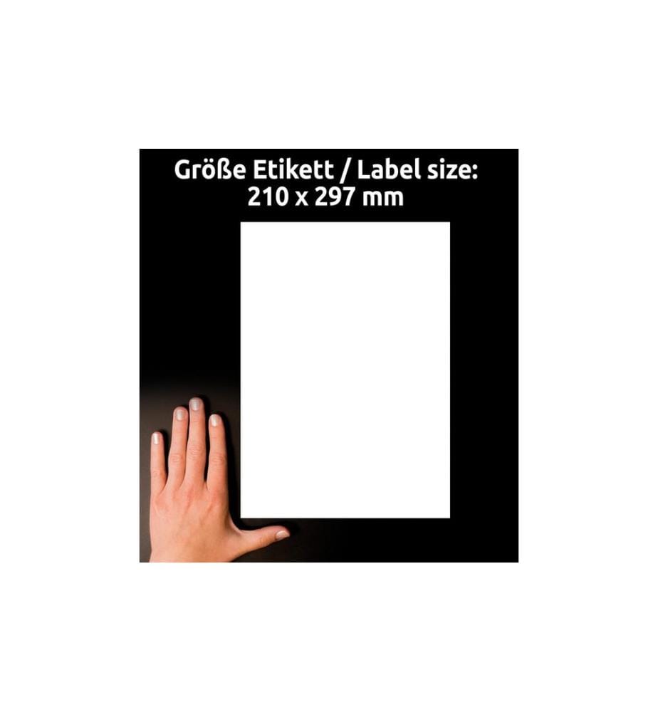 AVERY - Zweckform Étiquettes universelles 210 x 297 mm, 10 feuille