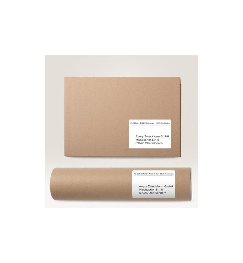 AVERY - Zweckform Étiquettes d'expédition 199.6 x 289.1 mm, 100 feuille