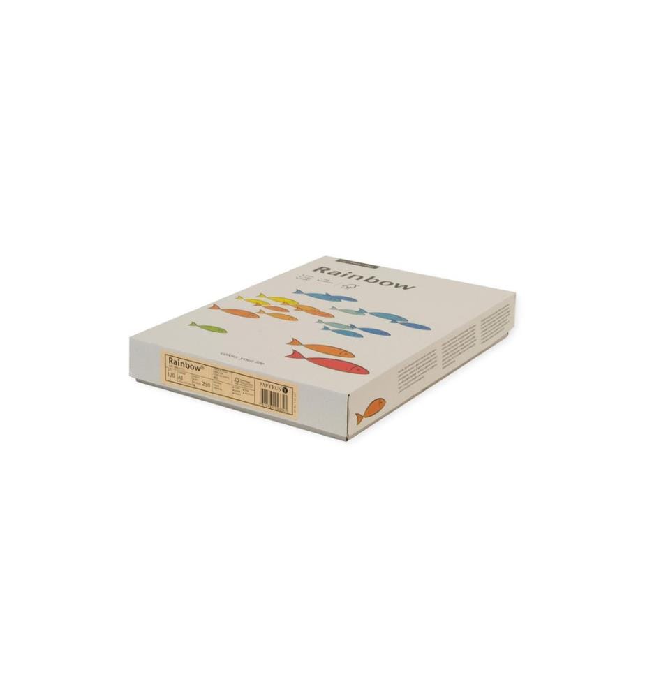 Rainbow - Kopierpapier A3, Hellgrün, 120 g/m², 250 Blatt