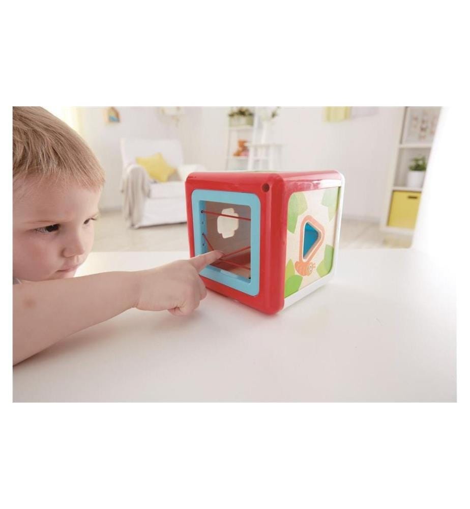 HAPE - Triage du jeu Remise de jardin en buis de triage