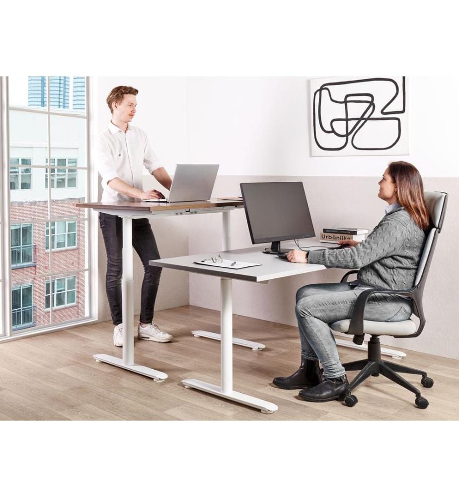 Bureau réglable en hauteur électriquement DESTINAS Gris/blanc 120 cm 72 cm