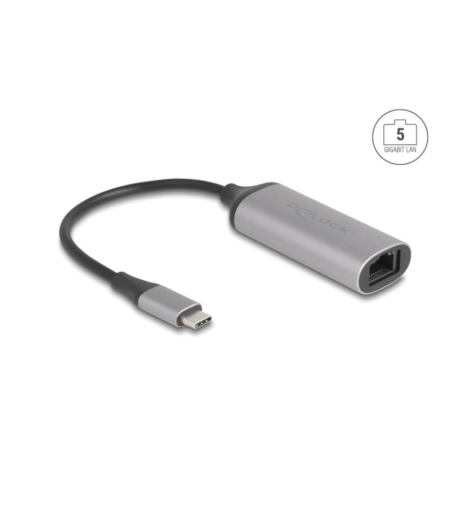 DELOCK - Netzwerk-Adapter USB-C – RJ45 5 Gbps USB Typ-C