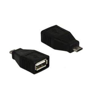 Adaptateur Delock USB 2.0 USB-MicroB mâle - USB-A femelle