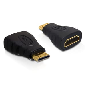 Delock Convertisseur Mini-HDMI (HDMI-C) – HDMI Noir