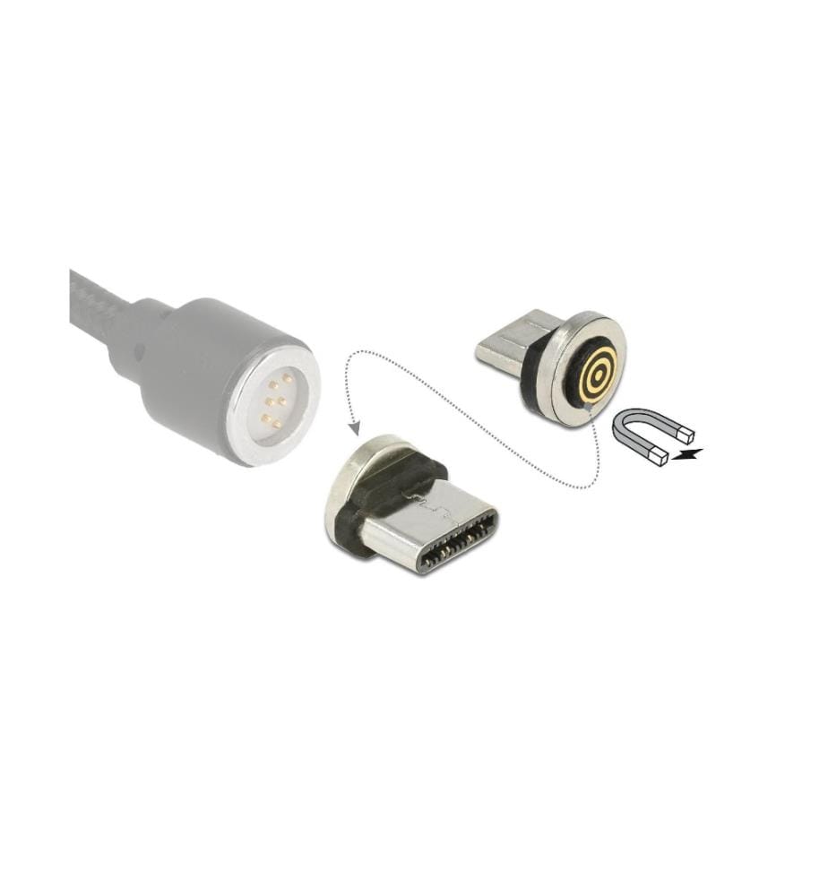 DELOCK - Câble USB magnétique  Spécial - USB C 0 m