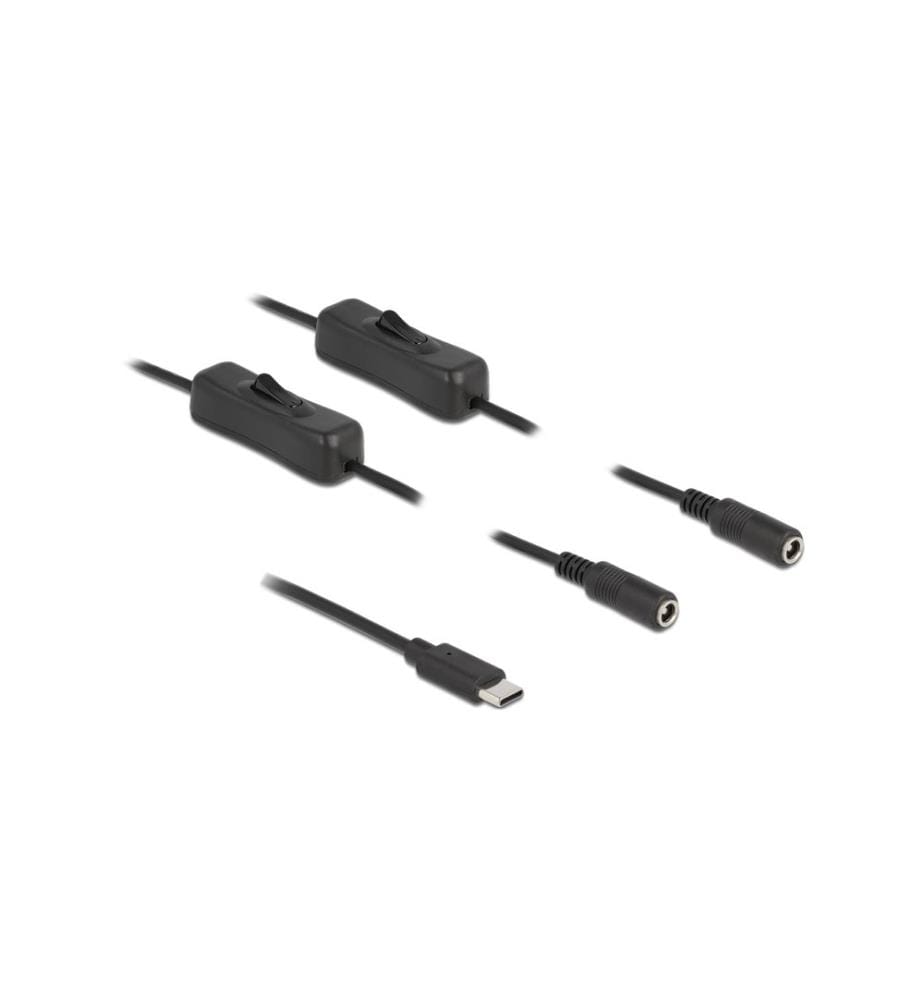 DELOCK - Connecteur à fiche creuse Câble USB Type-C à 2 x DC avec interrupteur, 1 m