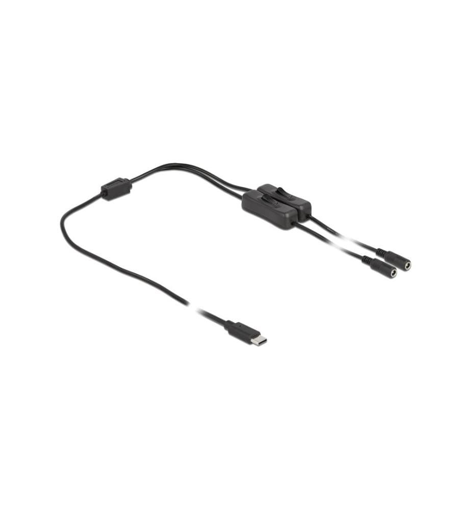 DELOCK - Connecteur à fiche creuse Câble USB Type-C à 2 x DC avec interrupteur, 1 m