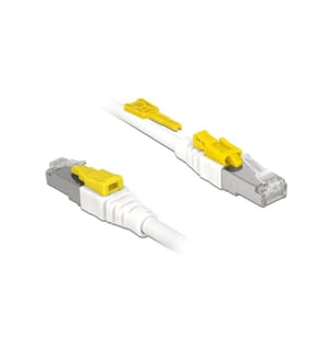 DELOCK - Patchkabel  Cat 6A, S/STP, 1 m, Weiss, verriegelbar