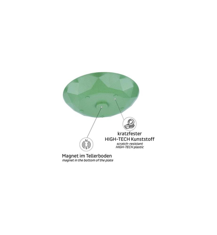 Silwy - Assiette magnétique universelle, Vert