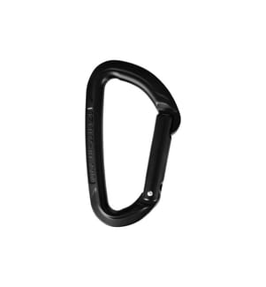 Wild Country - Carabiner Session Straight Gate Schwarz