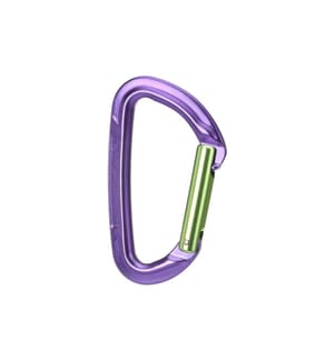 Wild Country - Carabiner Session Straight Gate Lila