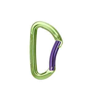 Wild Country - Carabiner Session Bent Gate Grün
