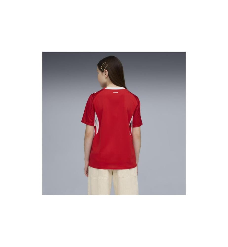 Puma - Jersey SFV Home Replica Jr Rot, 176