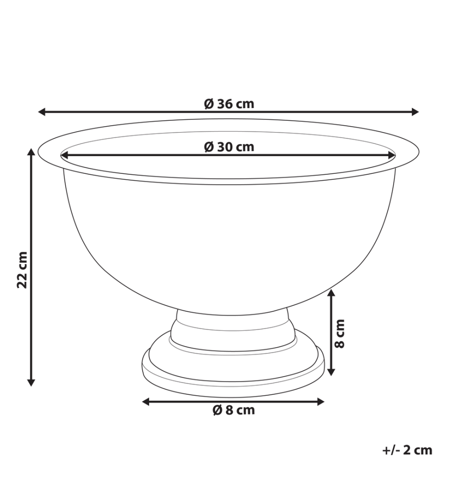 Decorative Bowl TIWANAKU Metal Silver