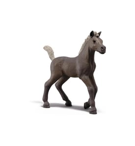 SCHLEICH - Poulain de collection Darcy